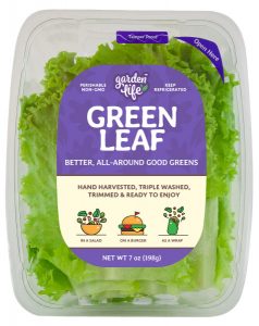 green leaf lettuce