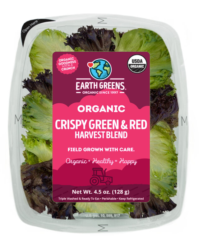 Cripsy Red and Green Clam